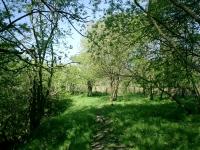 Forth and Clyde Junction Railway at Gartness Junction looking N.<br><br>[Alistair MacKenzie 03/05/2007]