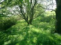 Forth and Clyde Junction Railway, site of Gartness Station looking SW.<br><br>[Alistair MacKenzie 03/05/2007]