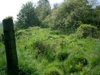 Forth and Clyde Junction Railway, site of Gartness Station yard.<br><br>[Alistair MacKenzie 03/05/2007]