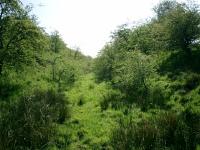 Forth and Clyde Junction Railway near Gartness, looking SW, in cutting.<br><br>[Alistair MacKenzie 03/05/2007]