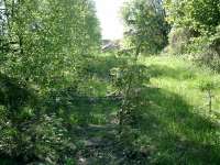 Lanarkshire and Dumbartonshire Railway branch to Rothesay Dock. Concrete sleepers still in situ.<br><br>[Alistair MacKenzie 09/05/2007]