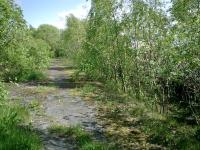 Lanarkshire and Dumbartonshire Railway, Yoker Riverside Station. This was an island platform station on an elevated line at this point, looking W.<br><br>[Alistair MacKenzie 09/05/2007]