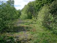 Lanarkshire and Dumbartonshire Railway, Yoker Riverside Station. This was an island platform station on an elevated line at this point, looking E.<br><br>[Alistair MacKenzie 09/05/2007]