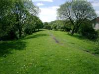 Temple Branch serving Temple sawmill and other works. Trackbed looking SE.<br><br>[Alistair MacKenzie 09/05/2007]