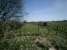 Forth & Clyde Junction Railway at Buchlyvie, looking NE, towards Stirling<br><br>[Alistair MacKenzie 04/04/2007]