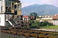 Tillicoultry SB (and garden) in the 1960s.<br><br>[Craig Seath //]