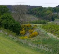 Very little of the first D&NR remains, this is the point that the trackbed turns to the south, downhill. <br><br>[Brian Forbes 26/05/2007]