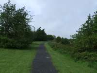 Looking west towards Cartsburn Junction, this view looks up the level where the trackbed was. A bridge crossed a road here as the line began its climb towards Kilmacolm.<br><br>[Graham Morgan 23/05/2007]