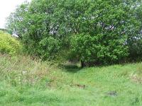 Looking west, this view shows the trackbed to the overbridge that crossed the Wemyss Bay line, behind the trees, and Cartsburn Tunnels and junction<br><br>[Graham Morgan 23/05/2007]