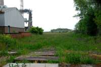 <i>Oh dear, oh dear.</i> The lifted and rapidly reverting to nature sidings at Methil power station. Home to the locomotive 26040 belonging to Jeffray Wotherspoon for several years. [See image 27951]<br><br>[Ewan Crawford 02/06/2007]