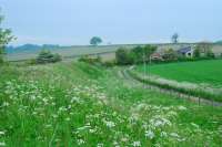 Looking west to Largoward freight station.<br><br>[Ewan Crawford 02/06/2007]