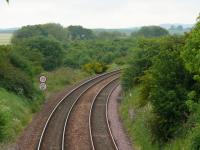 Site of Leuchars South Jct. The St Andrews and Fife Coast Line left to the left at the clearing.  nb location was also known as Milton Jct. (sorry for the pun)<br><br>[Brian Forbes 10/06/2007]