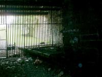 Caledonian Railway Lanarkshire and Dumbartonshire line. Balgray Tunnel goes north from Kelvinside Station, looking south from tunnel showing end of platform.<br><br>[Alistair MacKenzie 22/06/2007]