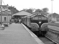 Boarding at Killarney in 1991.<br><br>[Bill Roberton //1991]