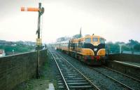156 brings a train into Balbriggan in 1993.<br><br>[Bill Roberton //1993]
