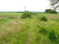 A view of the trackbed looking towards Nethy Bridge.<br><br>[John Gray 13/07/2007]