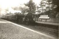 5P 4.6.0 45443 stopping with the 12.10 Buchanan St - Oban train.<br><br>[G H Robin collection by courtesy of the Mitchell Library, Glasgow 10/06/1950]