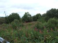 Looking east along the remnants of the branch to Inchgreen, where the crane is in the distance. The branch crossed the main line at Bogston station, off to the left. The Weymss Bay line is on embankment at the right<br><br>[Graham Morgan 31/08/2007]