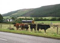 Last northbound train of the day runs into Rogart on a drizzly 31 August 2007.<br><br>[John Furnevel 31/08/2007]