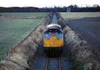 Scene near Tullibody in 1985.<br><br>[Mark Dufton //1985]