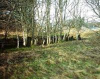 A view of Dunphail goods yard and goods platform.  The buffer stops can still be seen at end of the platform.<br><br>[Matt Jolley /4/2007]