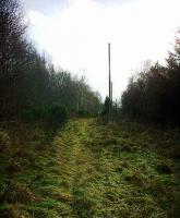 The trackbed towards Edinkillie, and the Divie Viaduct!<br><br>[Matt Jolley /4/2007]