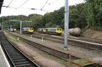 Freightliner Class 66 locomotives at Ipswich in September 2007.<br><br>[Michael Gibb 29/09/2007]