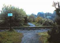 Remains of the former flat crossing at Bonnington in May 1985. View looks southwest along the old trackbed towards Warriston Junction and Scotland Street with Bonnington station and the line to Leith North directly behind the photographer. Crossing on the level from left to right is the line running up to Granton Harbour (latterly serving a Texaco oil depot) which had recently closed and which now terminates at the Powderhall waste disposal depot on Broughton Road off to the left. Both former routes are now walkways.<br><br>[David Panton /05/1985]