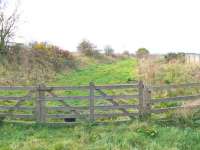 Looking west from the old station towards Perth. Is that ewe I see?<br><br>[Brian Forbes 02/11/2007]