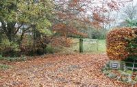 Autumn at Steele Road. The former station entrance on 3 November with the old station building, now a private residence, visible through the trees. View looks west with the <I>road</I> to Riccarton Junction off picture to the right.   <br><br>[John Furnevel 03/11/2007]