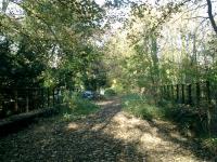 Meon Valley Line. Bridge over river at Wickham looking North to site of former station.<br><br>[Alistair MacKenzie 09/11/2007]