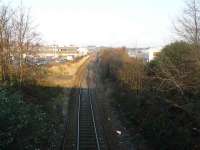 Looking north from the Powis Terrace bridge at the site of the former Kittybrewster station on the Aberdeen - Inverness main line. The platforms are still just visible, but nothing else hints at the important railway location this once was.<br>
The Waterloo branch is hidden behind the trees and shrubs at the right of the shot.<br><br>[John Williamson 17/12/2007]