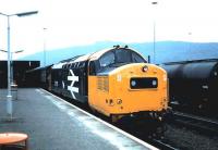 37175 at Fort William in August 1985.<br><br>[David Panton /08/1985]