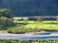 Craigvinean Forest is the backdrop as 47826 glides along the banks of the Tay with the <I>Royal Scotsman</I> on 14 October.<br><br>[Brian Forbes 14/10/2007]