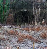 East portal of the Alloa Harbour Tunnel. This branch served the short-lived original terminus of the line at Alloa Ferry, prior to completion of the line west to Stirling. The main Alloa - Stirling line is out of shot in the foreground with the new and old Alloa stations behind the camera.<br><br>[Ewan Crawford 05/01/2008]