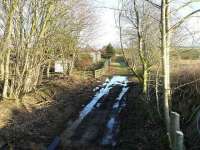 View north from the site of the A950 bridge demolition on 19 January over the location of the former Brucklay station, which is clear of serious growth for the first time in a long while.<br><br>[John Williamson 19/01/2008]