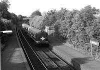 A Belfast - Portadown train enters Lambeg station in July 1986.<br><br>[John McIntyre /07/1986]