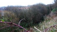 Possil Junction looking east. Here the routes to Hamiltonhill and Dumbarton split before passing under a roadbridge. The alignment of the line here was originally a waggonway running from the site of what later became Eastfield Depot to the Forth and Clyde Canal.<br><br>[Ewan Crawford 02/02/2008]