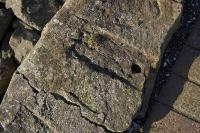 An old stone <I>sleeper</I> recycled for use as a coping stone, seen at St Davids Harbour, southern terminus of the Fordell Railway, on 6 February 2008.<br><br>[Bill Roberton 06/02/2008]