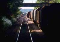 Obstruction Danger! In May 1990 a wagon on a northbound freight derailed on the points north of Larbert into the path of the 8.12 ex Dunblane DMU. Fortunately for the photographer, the DMU has just completed its emergency stop, but with not that much to spare. The damaged wagon was eventually removed and subsequently languished in the sidings at Larbert for a further 12 years!<br><br>[Mark Dufton /05/1990]