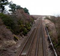 Looking north from the overbridge near Lunan Bay. Station House is in the trees to the left.<br><br>[Brian Forbes 02/03/2008]