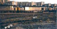 The evening sun sets on the old <I>ash heaps</I> at Gateshead shed in 1981 and on the various class 40 locomotives lined up there. In the front row left to right stand 40152, 40029 (which once carried the name <I>Saxonia</I>) and 40003 (the first of this particular group to be withdrawn - in September the following year). <br><br>[Colin Alexander //1981]