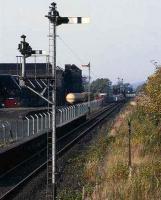 Cambus Jct in Oct 1985 with the fine array of 6 signals needed to control the junctions to Menstrie and Alloa New Yard. Just over two years later, all this carefully maintained equipment became a rusting, mangled heap dumped by the trackside.<br><br>[Mark Dufton /10/1985]