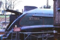 Gresley A4 pacific 60019 <I>Bittern</I> on the Mid Hants Railway on 11 March.<br><br>[Peter Todd 11/03/2008]