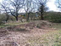 Curved embankment of the branch off the Elgin Waggonway at Milesmark, Dunfermline in March 2008.<br><br>[Grant Robertson 19/03/2008]