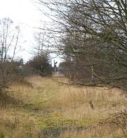 View west along the trackbed of the S&D towards the site of Kincardine Junction on 27 March 2008, showing the newly installed signal standing at the east end of Alloa loop. Mr Rabbit appears less than impressed that someone has left the light on. <br><br>[John Furnevel 27/03/2008]