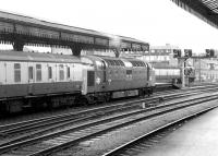 Deltic no 55016 <I>Gordon Highlander</I> getting ready to take an Edinburgh - Kings Cross train out of York on 20 July 1980. <br><br>[John Furnevel 20/07/1980]
