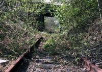 Looking towards Alloa near the site of Clackmannan station in May 1994. At that time, it seemed very unlikely that coal trains would ever run through here again, and it is interesting to speculate how long will elapse before nature reclaims the line once more.<br><br>[Mark Dufton /05/1994]