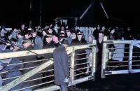 A cold winters night in January 1969 fails to deter protestors at Newcastleton, led by local minister The Reverend Brydon Maben, from blocking the level crossing gates and thus the passage of the last scheduled train over the Waverley route, the 21.55 Waverley - St Pancras sleeper. David Steel MP, one of the passengers on the train, became a one-man arbitration service that night and was primarily responsible for  Peak no 60 <I>Lytham St Annes</I> eventually being allowed to take the train forward over the crossing and continue its belated journey south. [See image 27892]<br><br>[Bruce McCartney 06/01/1969]