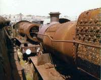 Withdrawn ex-GWR Hall and 28xx class locomotives languish in one of the sidings at Woodhams Yard, Barry, on 26 July 1980. <br><br>[Colin Alexander 26/07/1980]